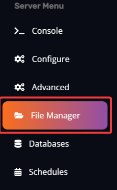 File Manager