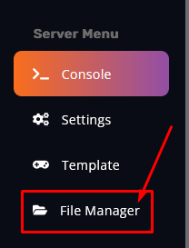 File Manager