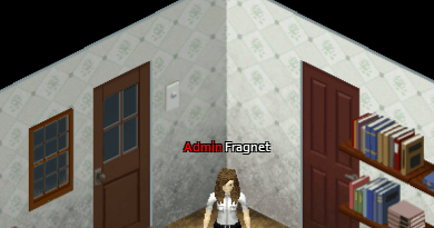 Admin In-Game